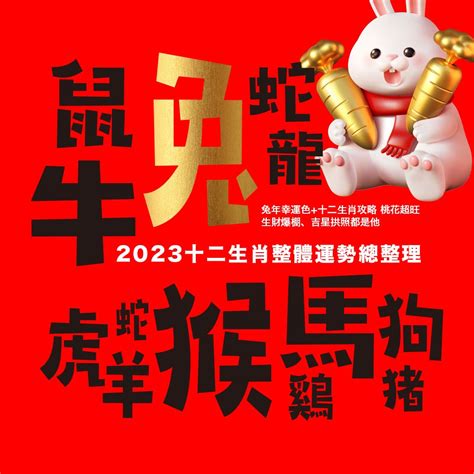 兔幸運色|2023兔年十二生肖幸運色公開！日本命理師揭密3顏色。